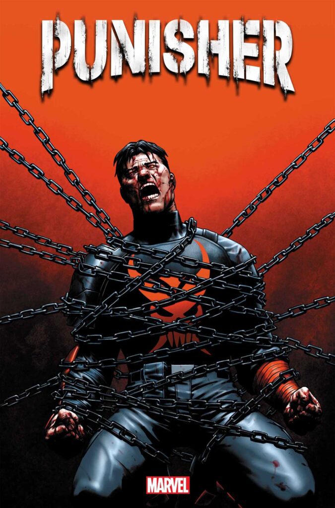 Punisher 12 | Marvel Comics | Ash Avenue Comics