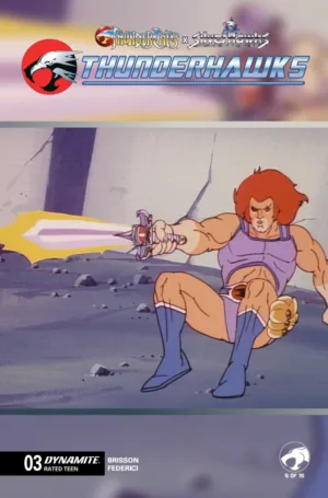 ThunderCats x Silverhawks Thunderhawks #3 Cover E Animation Art Variant - Ash Avenue Comics
