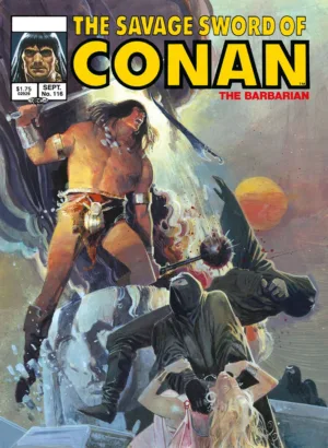 Savage Sword of Conan Original Comics Omnibus Vol 08 Direct Market Edition Bill Sienkiewicz Cover (MR) - Ash Avenue Comics