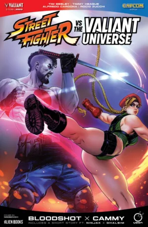 Street Fighter Vs. The Valiant Universe Special Variant D (Noobovich) - Ash Avenue Comics