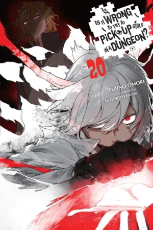 Is It Wrong To Try To Pick Up Girls In A Dungeon Light Novel Vol 20 - Ash Avenue Comics